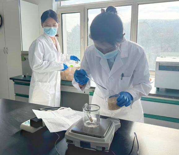 省局与伊美区联动发力 随机抽检粮食加工品筑牢安全防线